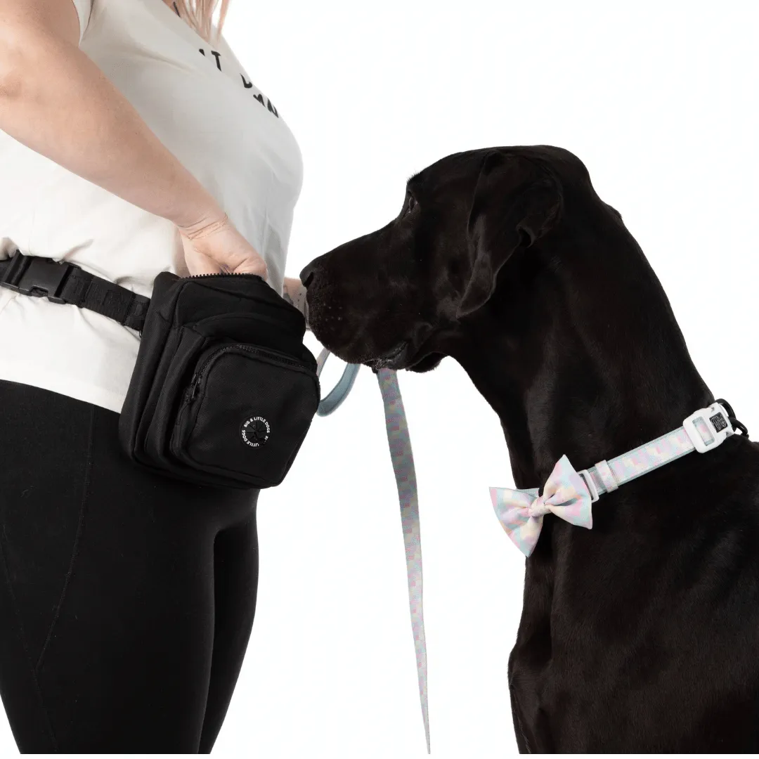 Big and Little Dogs Black The Ultimate Training Pouch